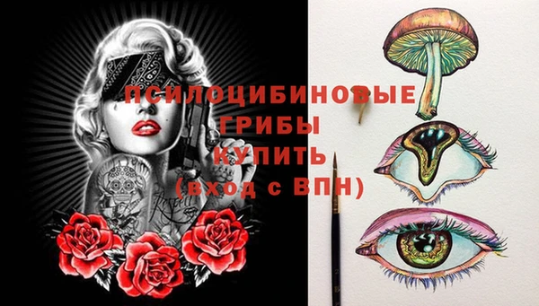 МДПВ Аркадак